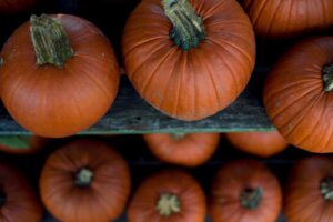 Photo Fall salad